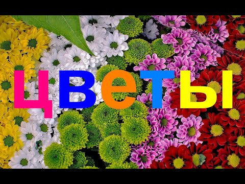 Видео: Русский для среднего уровня: НАЗВАНИЯ ЦВЕТОВ