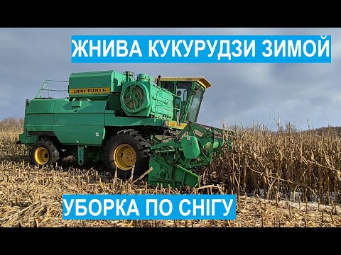 Видео: Зимняя уборка кукурузи 2022 . Дон 1500 Б. Жнива 2022