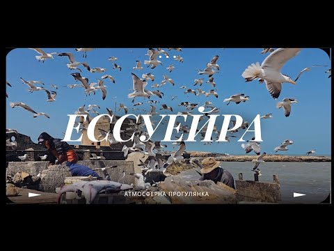 Видео: Ессуейра. Моє улюблене місто Марокко.  Чайки, котики, вітер та хіпі-атмосфера