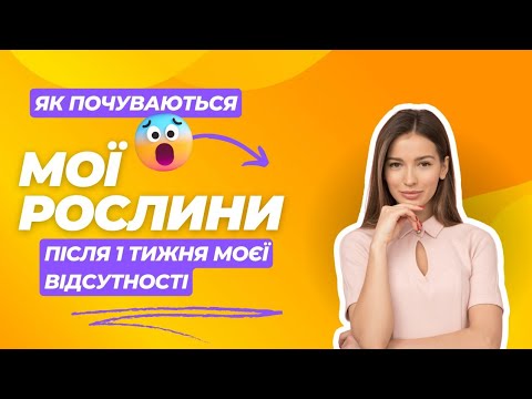 Видео: Полив рослин на час відпустки, фітільний тимчасовий полив.