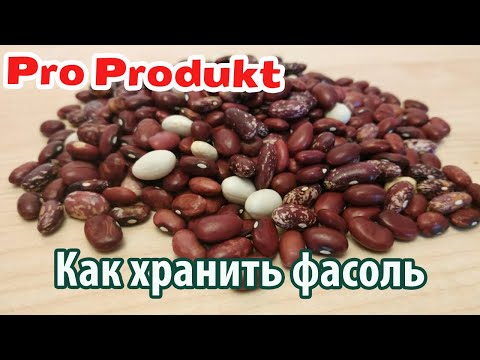 Видео: Как хранить фасоль