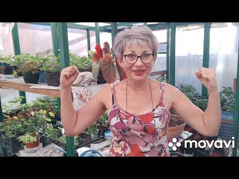 Видео: ВСЕМ  ЗДРАВСТВУЙТЕ  🤗🌺🌺🌺 3.10.2025.