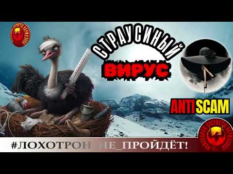Видео: Миледи🔥✅СТРАУСИНЫЙ ВИРУС, или МОШЕННИКИ И ЧУШЬ🔴СКАМ, ТРОЛЛИНГ, РАЗВОД ПО ТЕЛЕФОНУ, ЮМОР