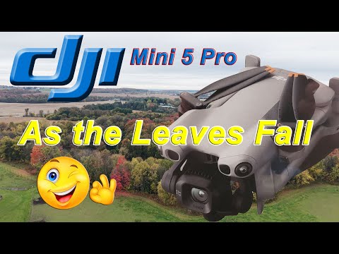 Видео: DJI Mini 5 Pro — Пока не опали листья — 🍁🍂😱👍👀