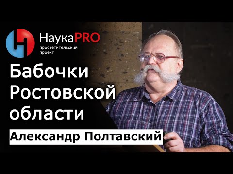 Видео: Бабочки Ростовской области | Лекции по зоологии – энтомолог Александр Полтавский | Научпоп
