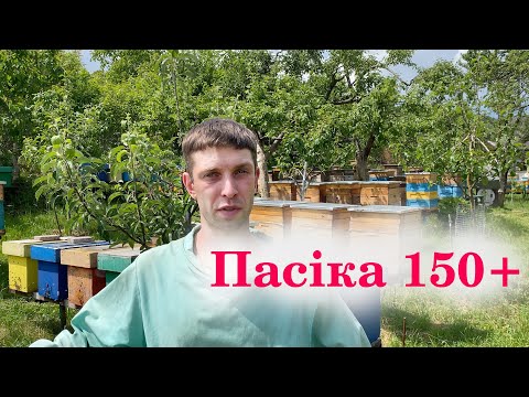 Видео: Як все відбувається на ПАСІЦІ