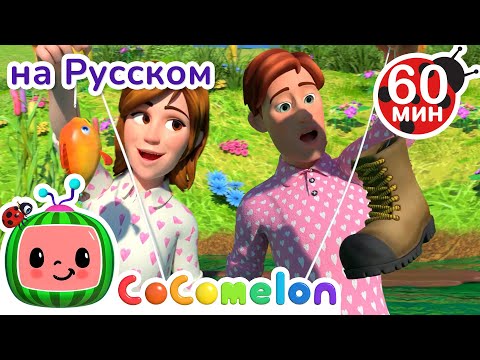Видео: Любимый Велосипед | Сборник 1 Час | CoComelon на русском — Детские песенки