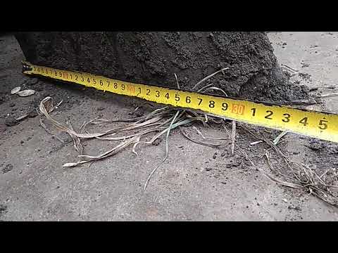 Видео: Коротко о размерах картофелесажалки.