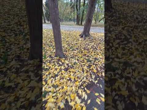 Видео: История на костюма и модата 1 част 