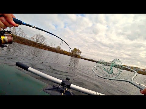 Видео: Вот что происходит, когда попадаешь на ЖОР ЩУКИ! ЛУЧШАЯ РЫБАЛКА НА СПИННИНГ ЭТОГО СЕЗОНА!