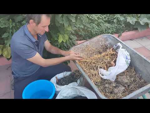 Видео: Потенциал биоорганического развития. Природное земледелие №19