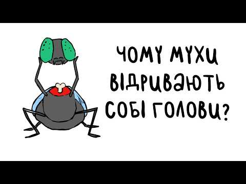 Видео: 10 Приколів, Які Створила Еволюція (тебе там немає)