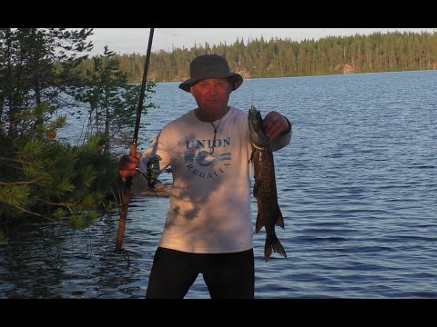 Видео: ВОЛОК часть4