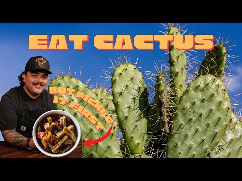 Видео: Как приготовить нопалес, как мексиканский шеф-повар | Нежные, яркие и вкусные