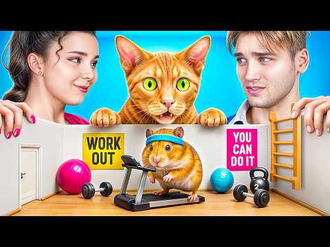 Видео: Мы построили дом для хомячка! Смешные ситуации с животными