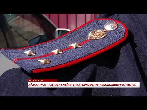 Видео: АЙДООЧУЛАР 1- ОКТЯБРГА ЧЕЙИН УНАА НОМЕРЛЕРИН ЛЕГАЛДАШТЫРУУСУ КЕРЕК