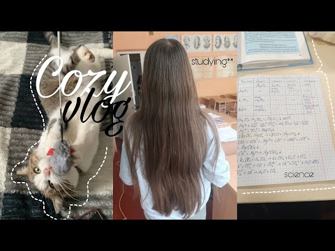 Видео: COZY VLOG • 🎧 || Уютный учебный день ✨