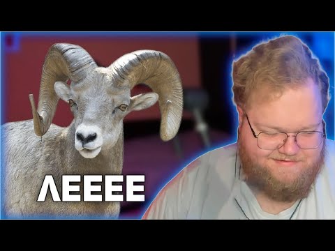 Видео: T2x2 ВСТРЕТИЛ КУРЬЕРА-БАРАНА