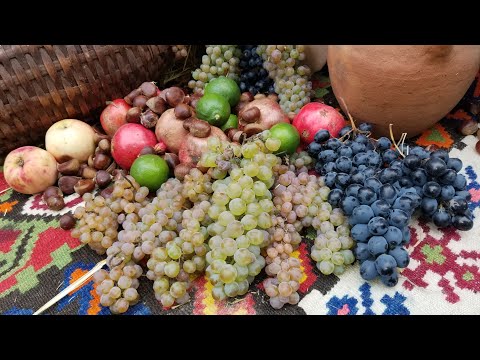 Видео: 28.10.2022 Tbilisi. район Конго. поселок Африка. Навтлуги-2