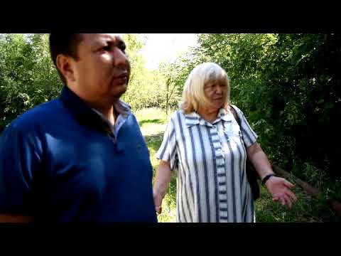 Видео: Отсутствует водоснабжения в с.Болек (Енбекшиказахский р-он)