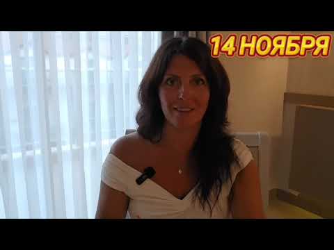 Видео: 14 НОЯБРЯ АСТРОПРОГНОЗ НА ДЕНЬ 