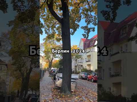 Видео: Цветная осень в Берлине 2024 #shorts #autumn #berlin