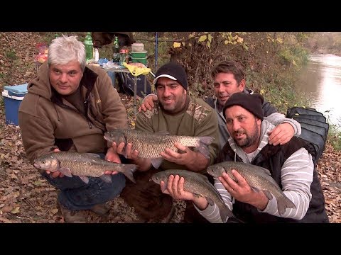 Видео: За есенни кефали на река Тунджа - част 2