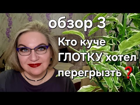 Видео: Кто куче ГЛОТКУ хотел перегрызть❓️