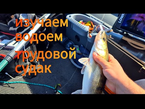 Видео: Как я на Яузское съездил порыбачить. Пудыши сентябрь 