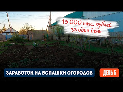 Видео: День 5 | 13 000 тыс. рублей за одни день. Заработок на вспашке огородов мотоблоком.