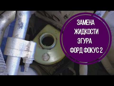 Видео: Замена жидкости ЭГУРа Форд Фокус 2