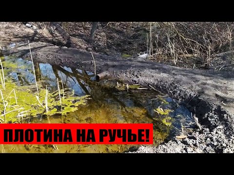 Видео: Сделали Плотину на Ручье у Себя в Огороде