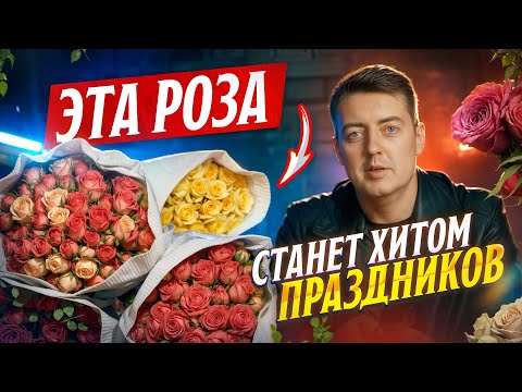 Видео: Как выбирать кустовую розу для стабильных продаж? | Обзор плантации Mahee Flowers | Цветы оптом