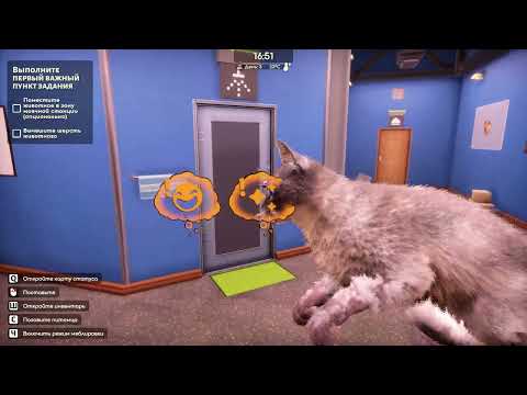 Видео: Animal Shelter 2. Друго бросили.
