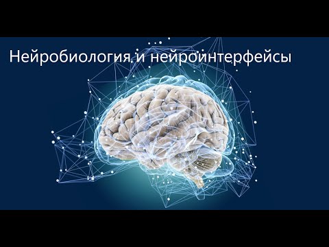 Видео: Нейробиология и нейроинтерфейсы