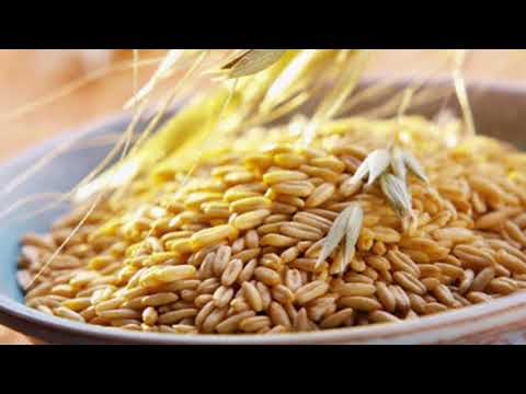 Видео: Живое питание, как залог здоровья (часть 1) | Здоровое питание с Ю. А. Фроловым 🍏