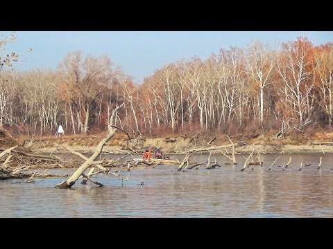 Видео: О ТАКОЙ РЫБАЛКЕ МОЖНО МЕЧТАТЬ! ОГРОМНАЯ ЩУКА МОНСТР!