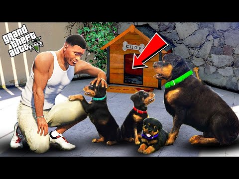 Видео: ЧОП ЕНДІ ӘКЕ АТАНДЫ | ФРАНКЛИН КҮШІКТЕРІ (GTA V)