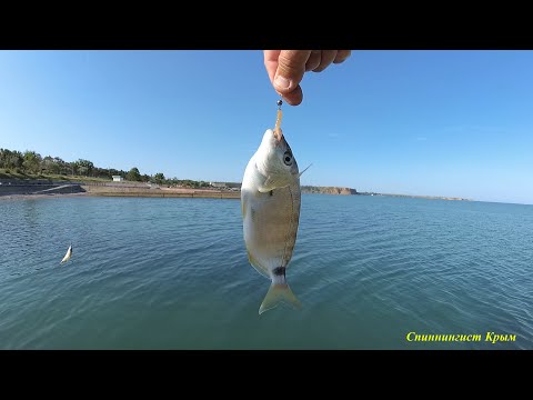 Видео: Морская рыбалка. Разнорыбица.