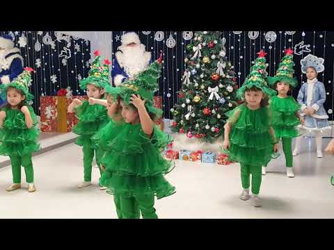 Видео: Средняя группа. Новый год