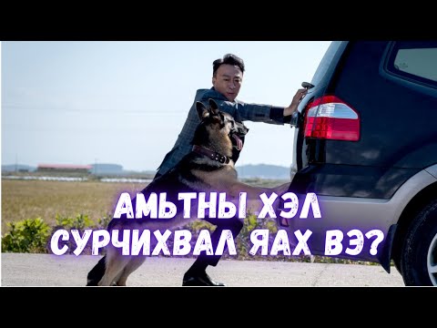 Видео: АМЬТНЫ ХЭЛЭЭР ЯРЬЖ СУРСАН НЬ