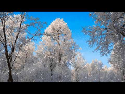 Видео: Зима красавица