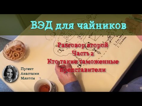 Видео: Кто осуществляет ВЭД. Часть вторая: кто такие таможенные представители?