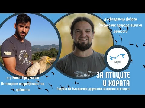 Видео: „За птиците и хората“ – Е4 с гости Д-р Владимир Добрев и д-р Волен Аркумарев за египетските лешояди