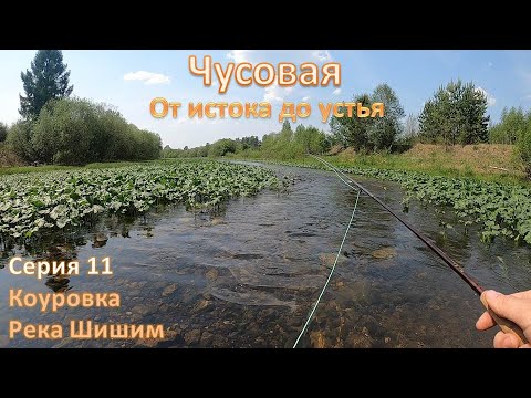 Видео: Чусовая: от истока и до устья. Серия 11 -- Коуровка и Шишим