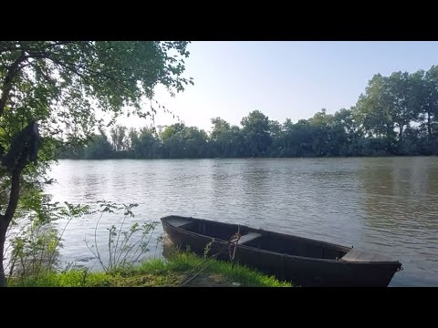 Видео: Рыбалка на Кубани.Варениковская.