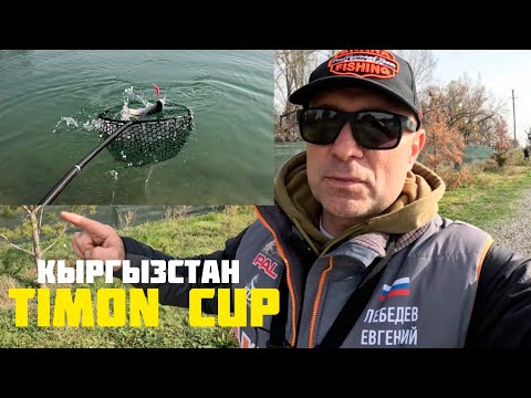 Видео: Ловля прудовой форели. Кубок Тимона в Кыргызстане.