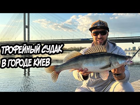 Видео: Трофейный судак в черте города Киева!!! Рыбалка на Днепре весной. Спиннинг в апреле! Ловля джигом!
