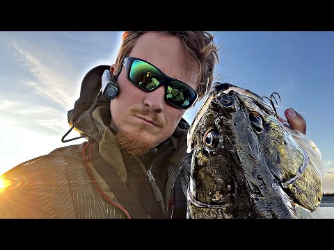 Видео: Новый рекорд по судаку! Водохранилища Болгарии