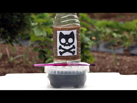 Видео: Избавьтесь от тли на овощах 🌱 и муравьев на фруктовых деревьях 🍏